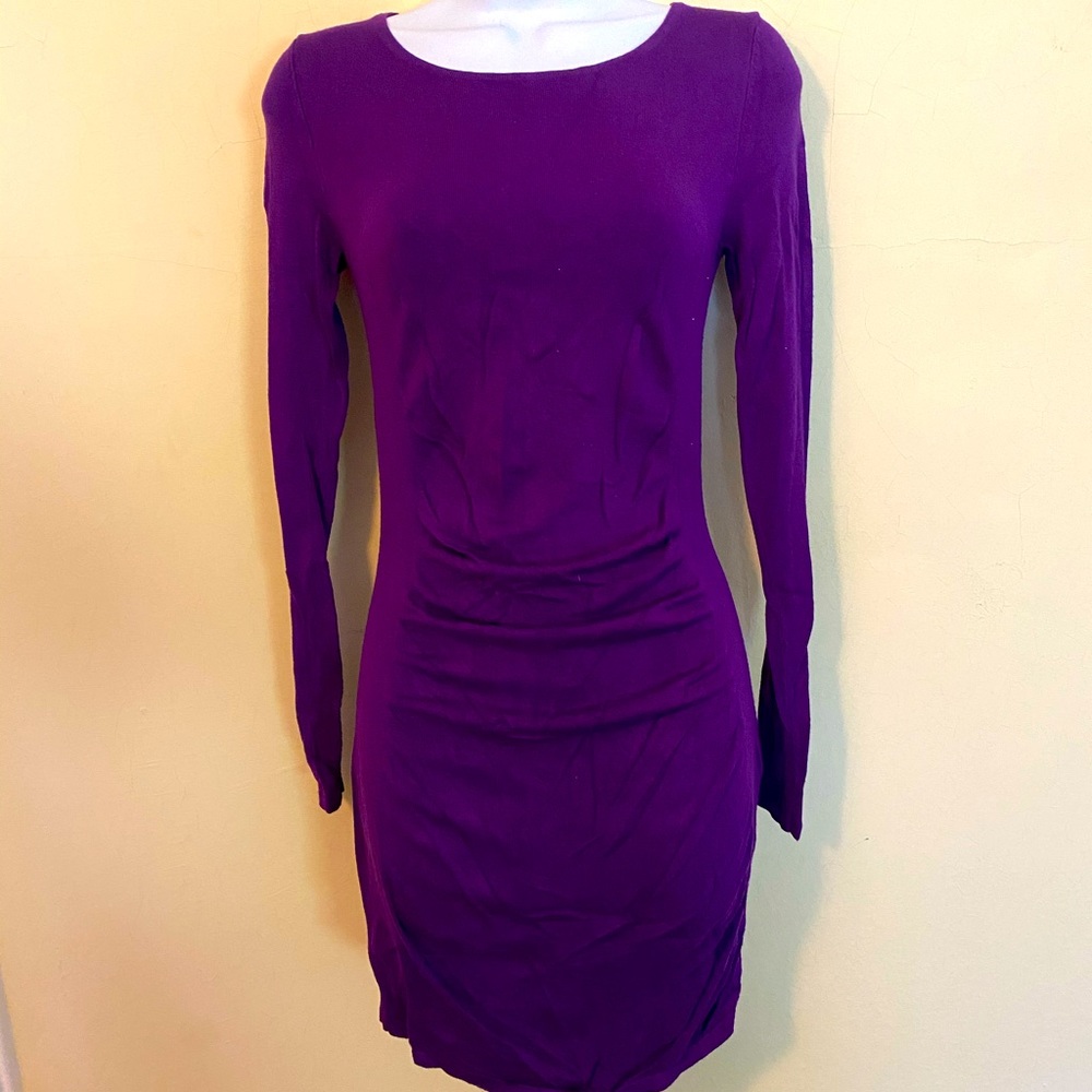 Purple Express Dress